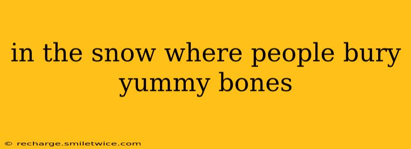 in the snow where people bury yummy bones