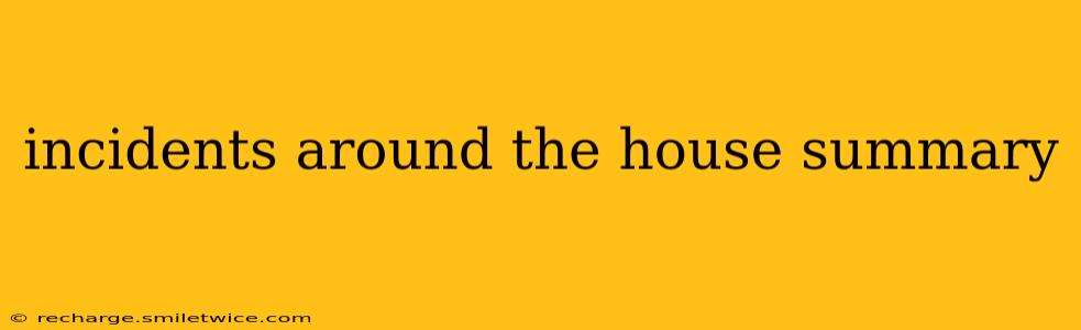 incidents around the house summary