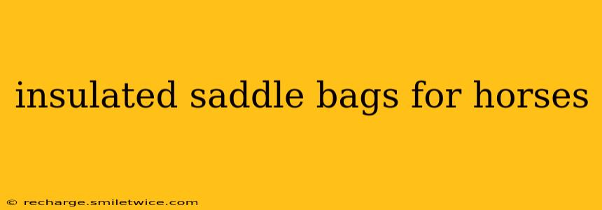 insulated saddle bags for horses