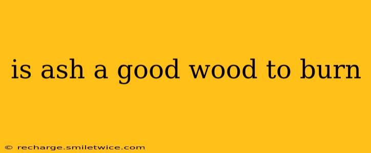 is ash a good wood to burn