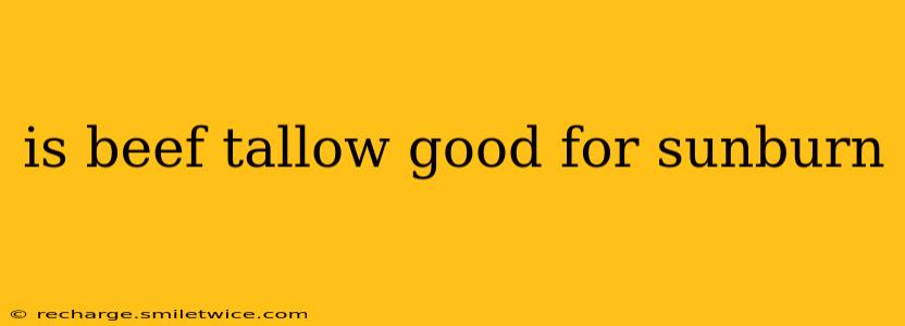is beef tallow good for sunburn