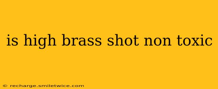 is high brass shot non toxic