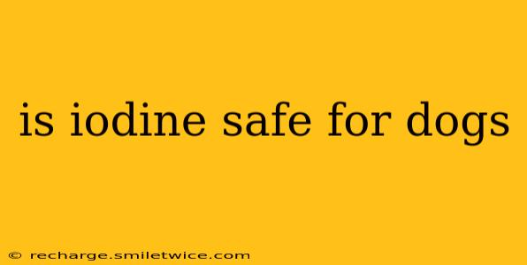 is iodine safe for dogs