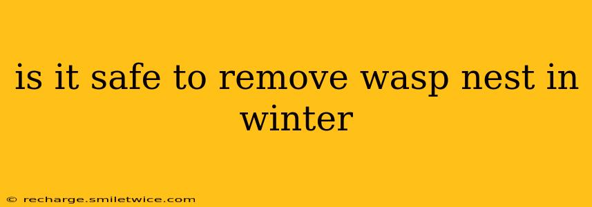 is it safe to remove wasp nest in winter