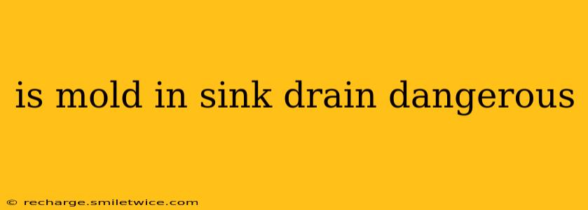 is mold in sink drain dangerous