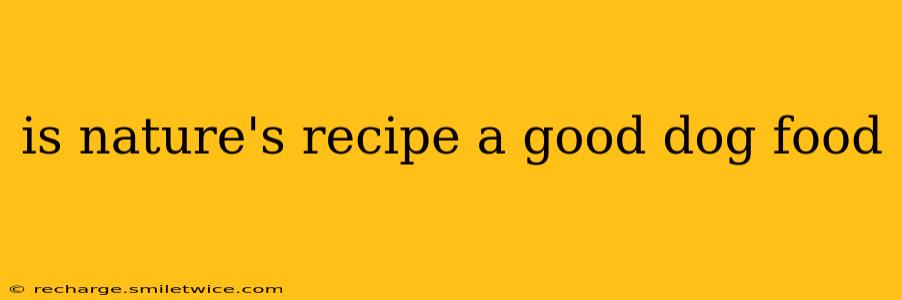 is nature's recipe a good dog food