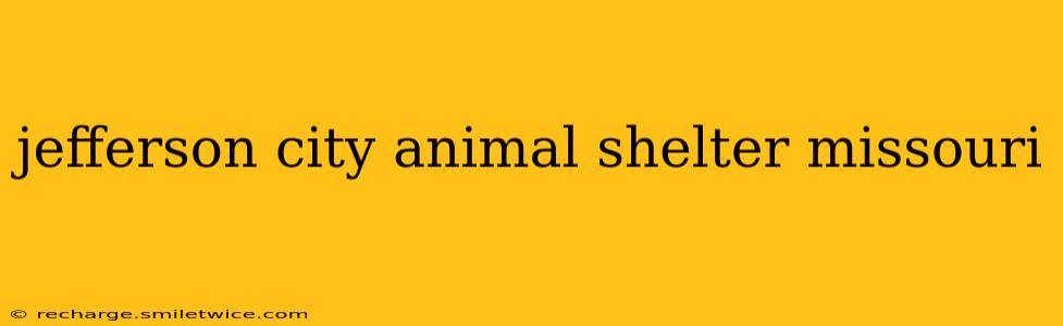 jefferson city animal shelter missouri