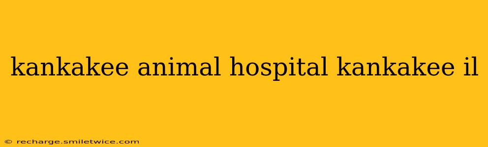 kankakee animal hospital kankakee il