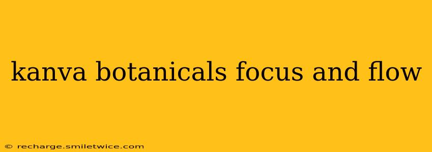 kanva botanicals focus and flow