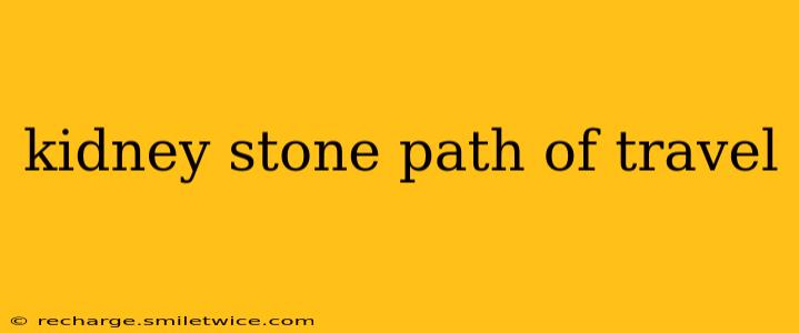 kidney stone path of travel