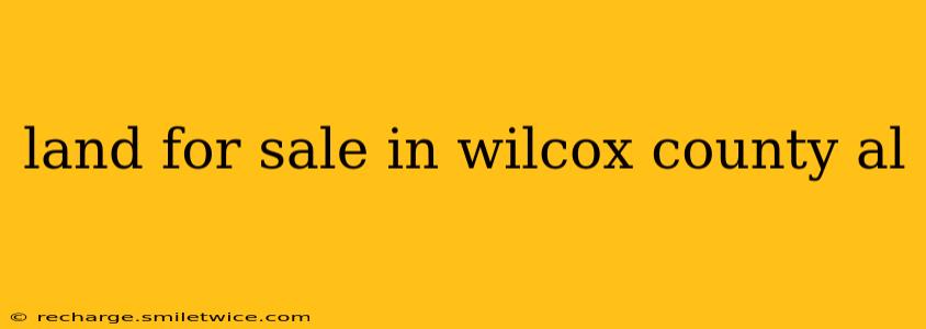 land for sale in wilcox county al