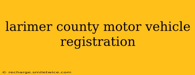 larimer county motor vehicle registration