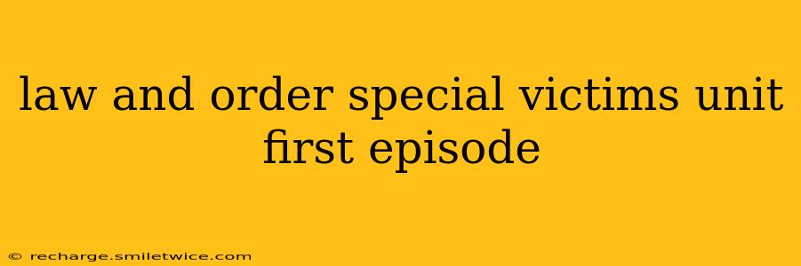 law and order special victims unit first episode