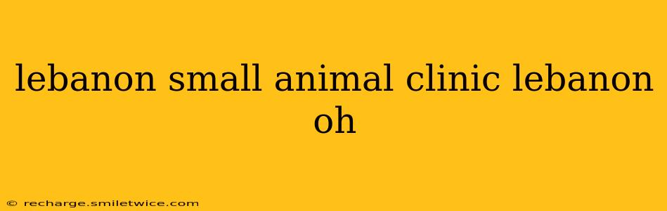 lebanon small animal clinic lebanon oh