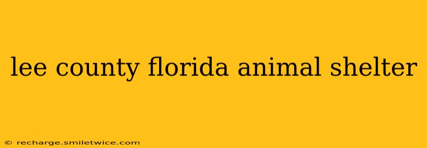 lee county florida animal shelter