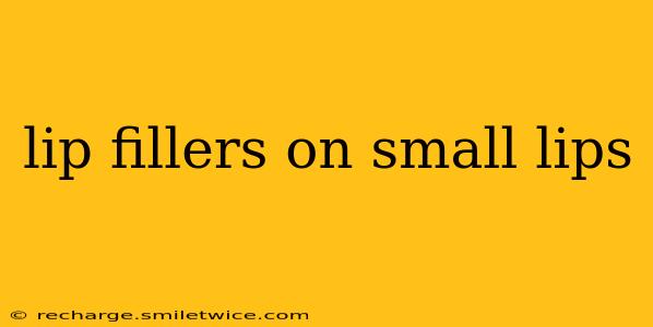 lip fillers on small lips