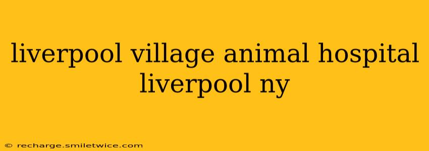 liverpool village animal hospital liverpool ny