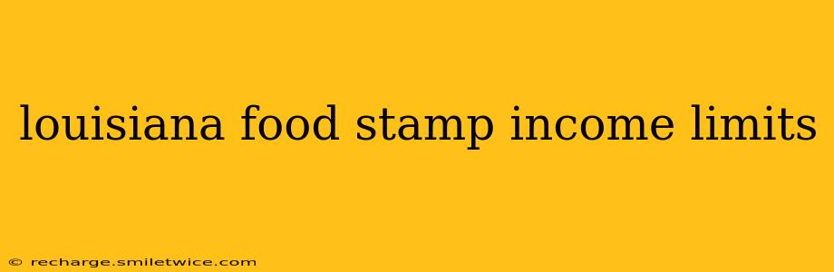louisiana food stamp income limits