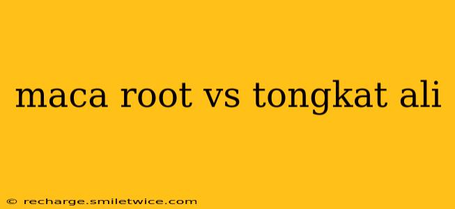 maca root vs tongkat ali