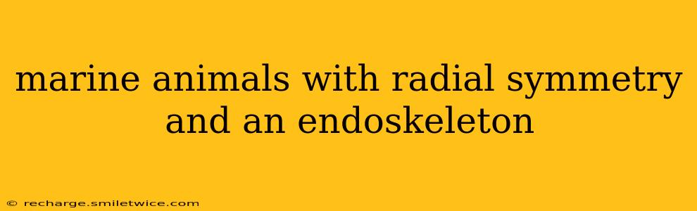 marine animals with radial symmetry and an endoskeleton