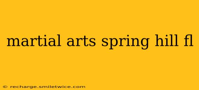 martial arts spring hill fl