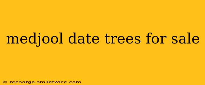 medjool date trees for sale