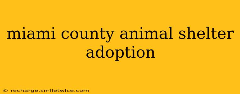 miami county animal shelter adoption