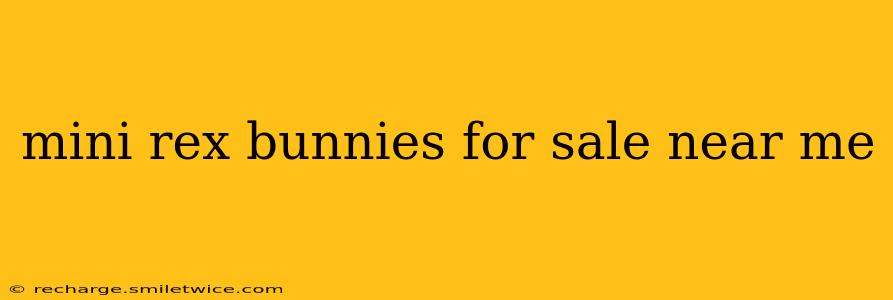 mini rex bunnies for sale near me