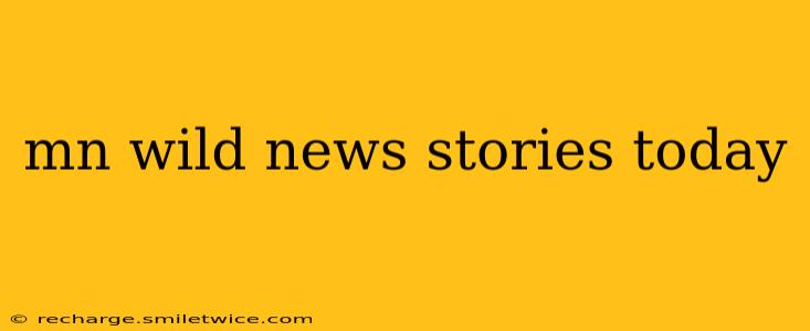 mn wild news stories today