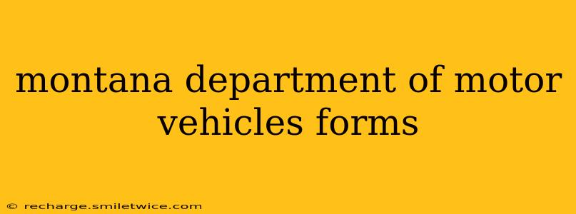 montana department of motor vehicles forms