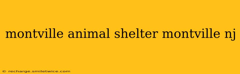 montville animal shelter montville nj