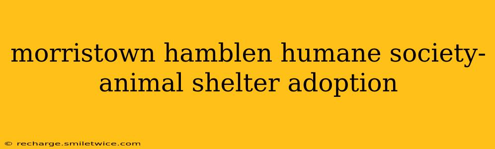 morristown hamblen humane society-animal shelter adoption