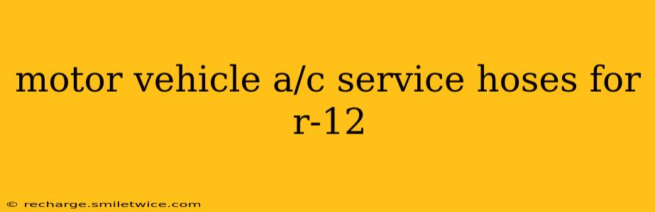 motor vehicle a/c service hoses for r-12