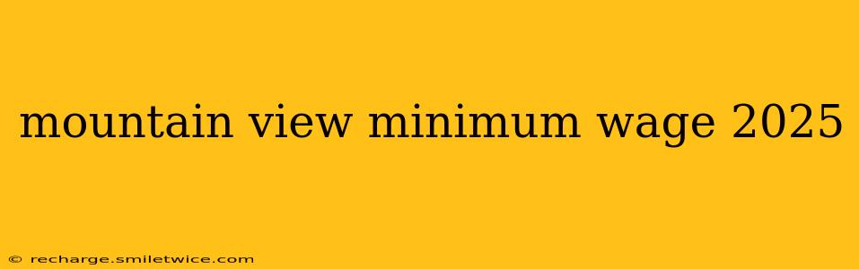 mountain view minimum wage 2025