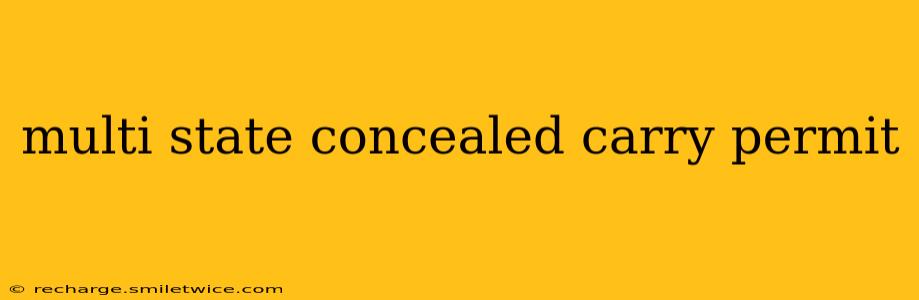 multi state concealed carry permit