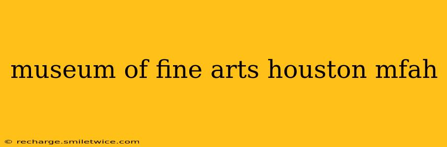 museum of fine arts houston mfah