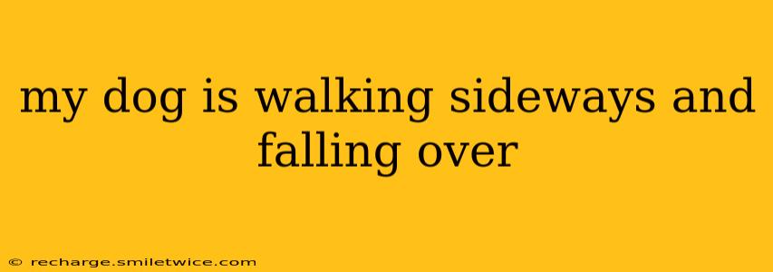 my dog is walking sideways and falling over
