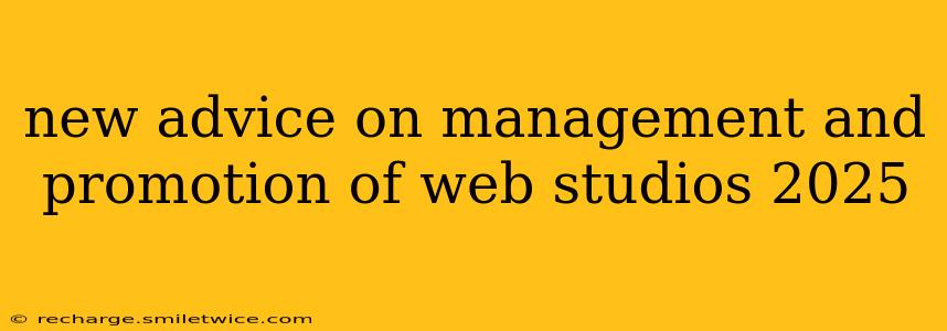 new advice on management and promotion of web studios 2025