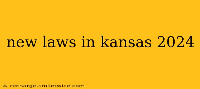 new laws in kansas 2024