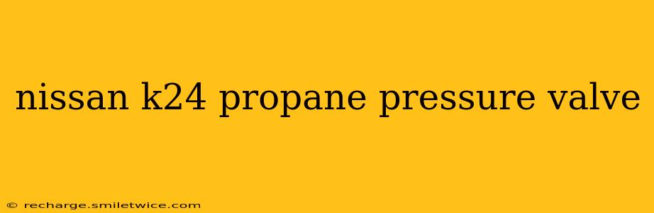 nissan k24 propane pressure valve