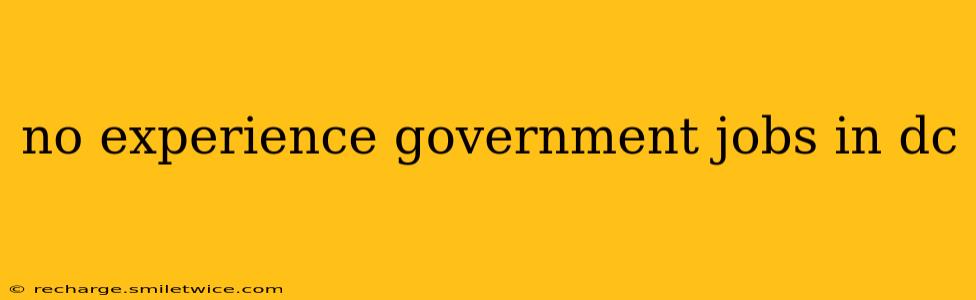 no experience government jobs in dc