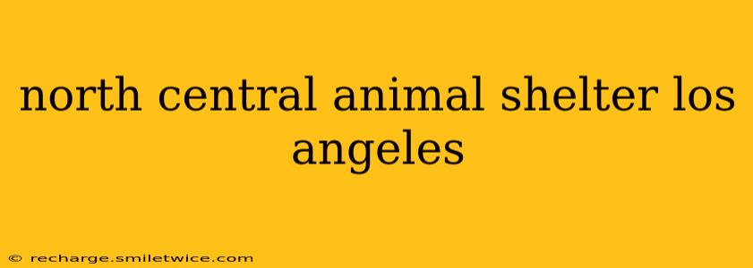north central animal shelter los angeles