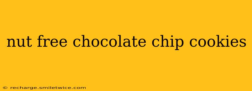 nut free chocolate chip cookies