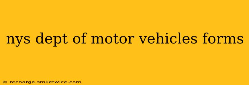nys dept of motor vehicles forms