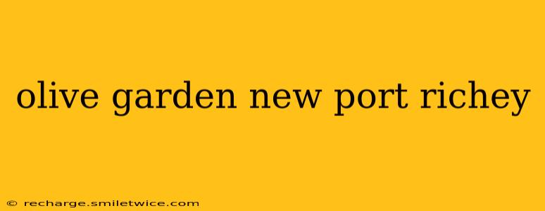olive garden new port richey
