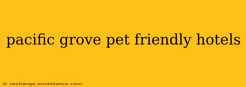 pacific grove pet friendly hotels