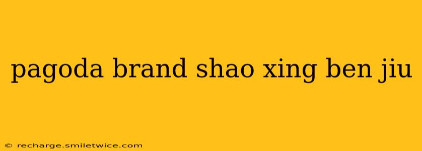 pagoda brand shao xing ben jiu