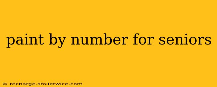 paint by number for seniors