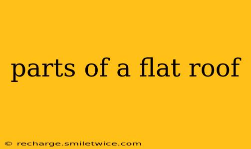 parts of a flat roof