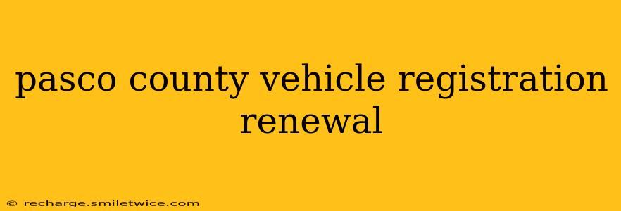 pasco county vehicle registration renewal